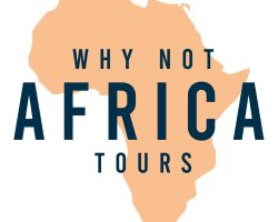 Why not Africa Tours (1)