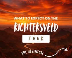 Why not Africa Tours (5)