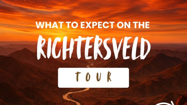 Why not Africa Tours (5)