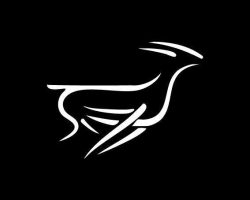 Front runner logo
