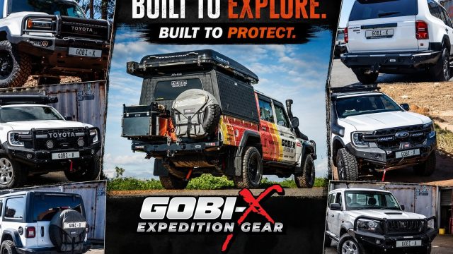 gobi x (9)