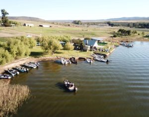 Bulshoek Farm