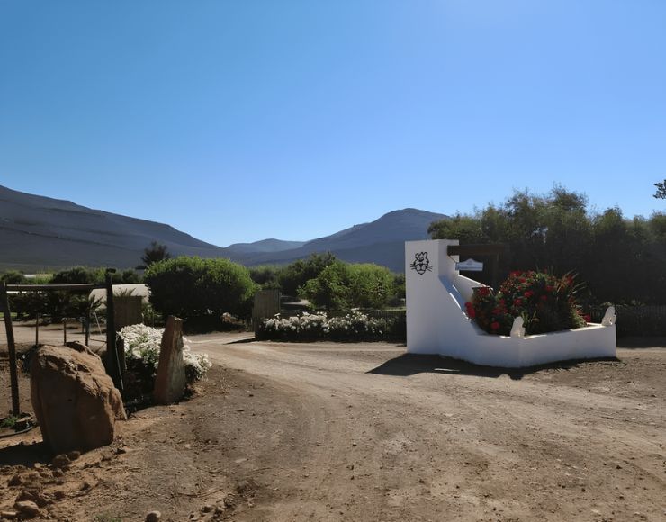 Leeuwenboschfontein (9)