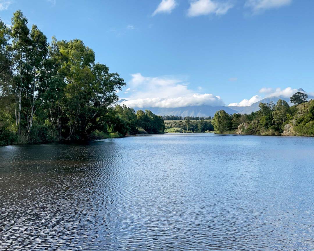 Falcon-River-River-View