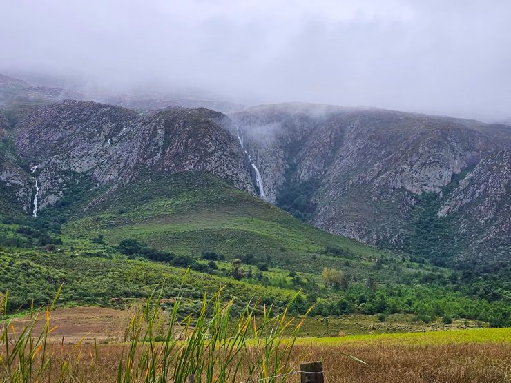 Swartberg Wilds (11)