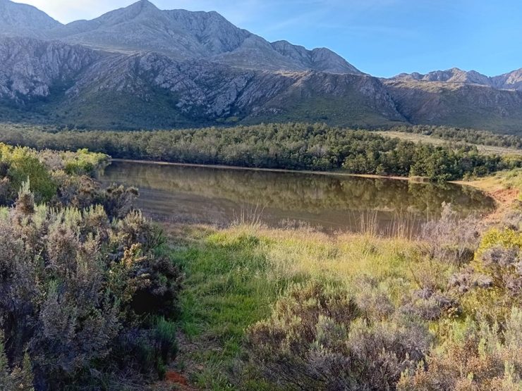 Swartberg Wilds (13)