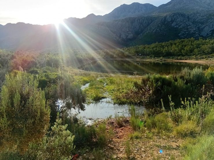 Swartberg Wilds (15)
