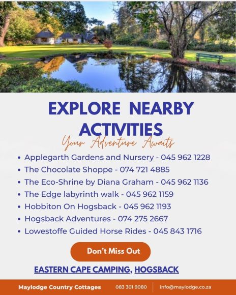 Explore Nearby Activities