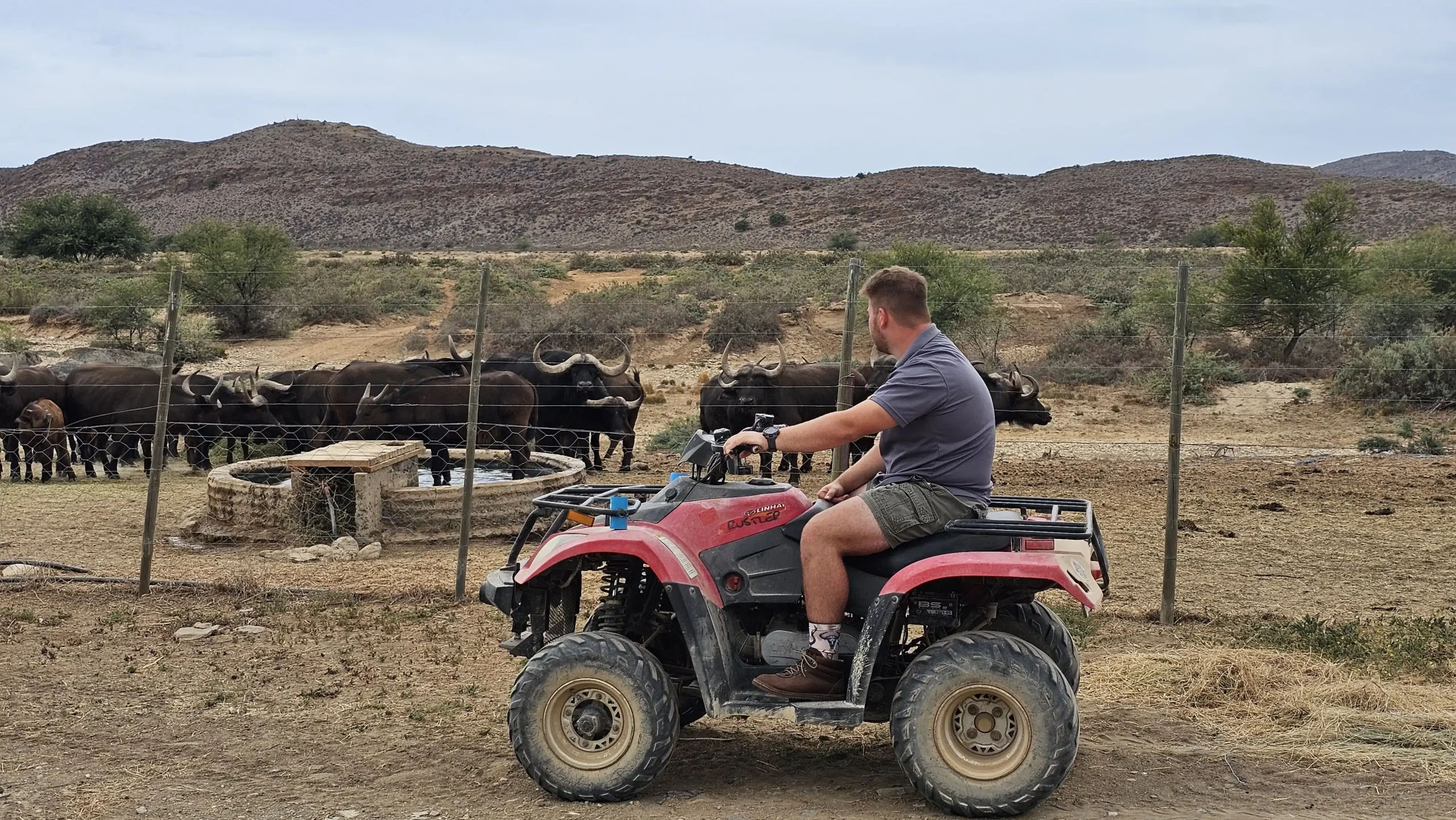 Absolutely Wild camping (1)