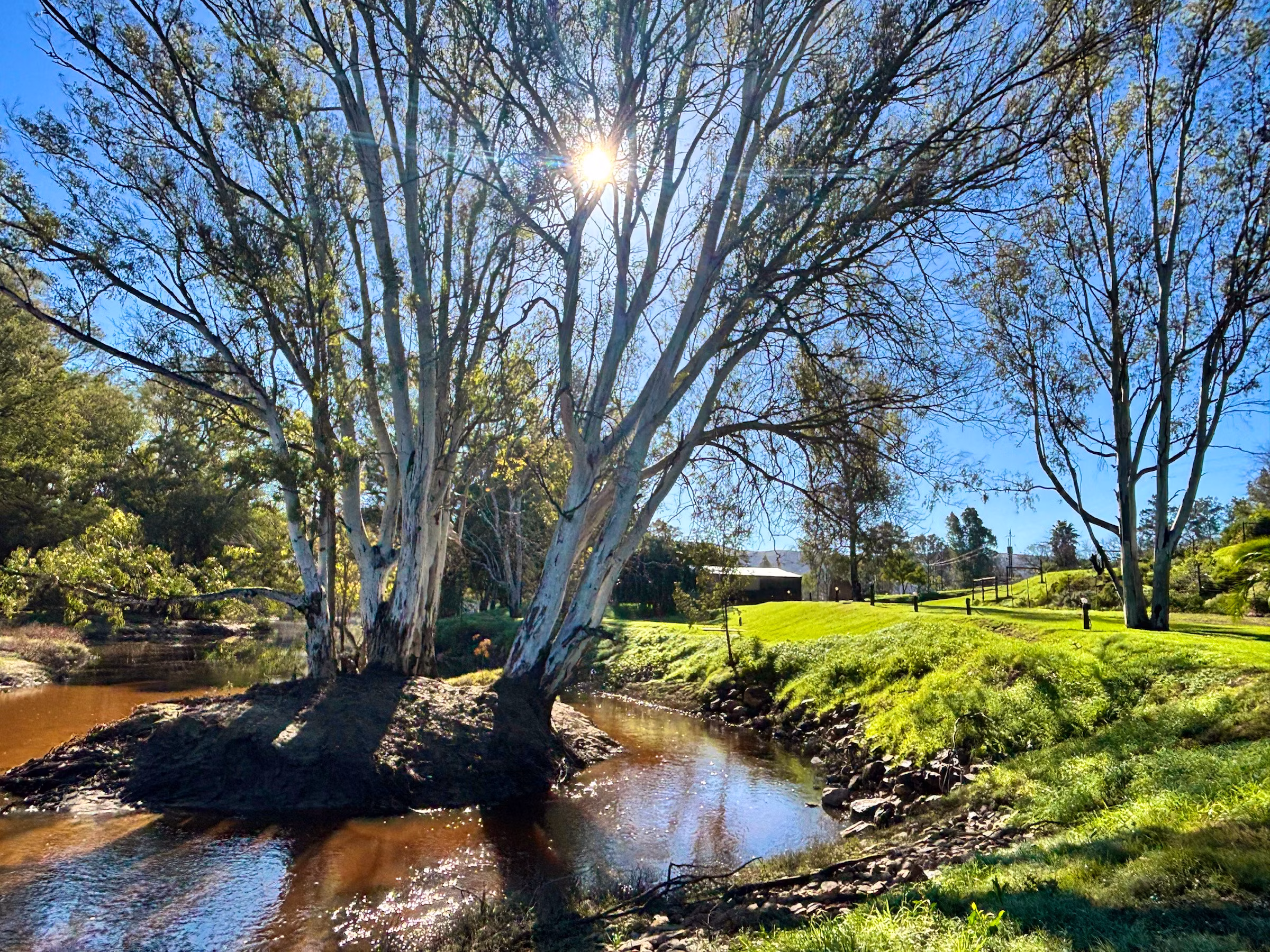 Stormsvlei (4)