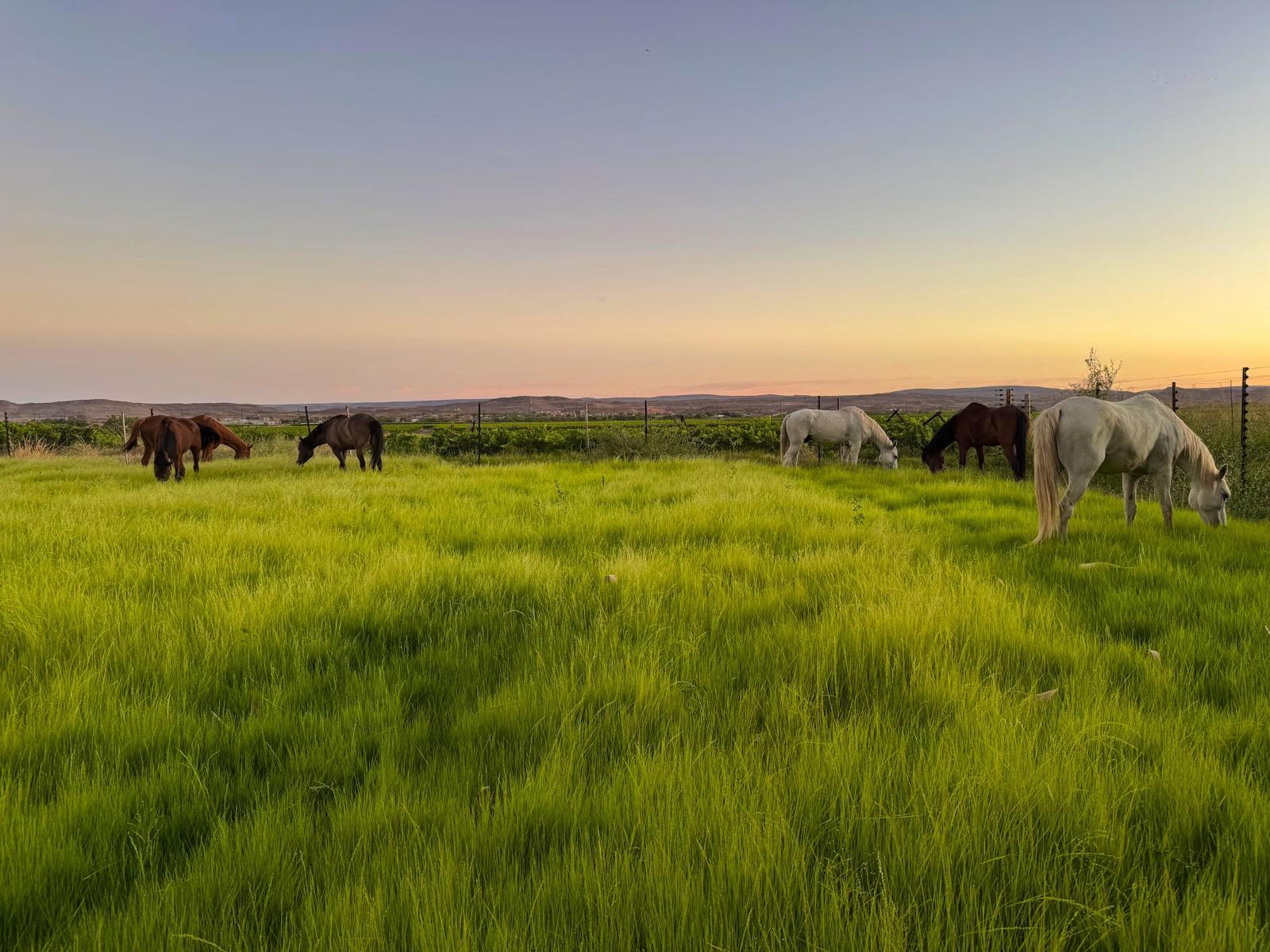 The Stables (3)