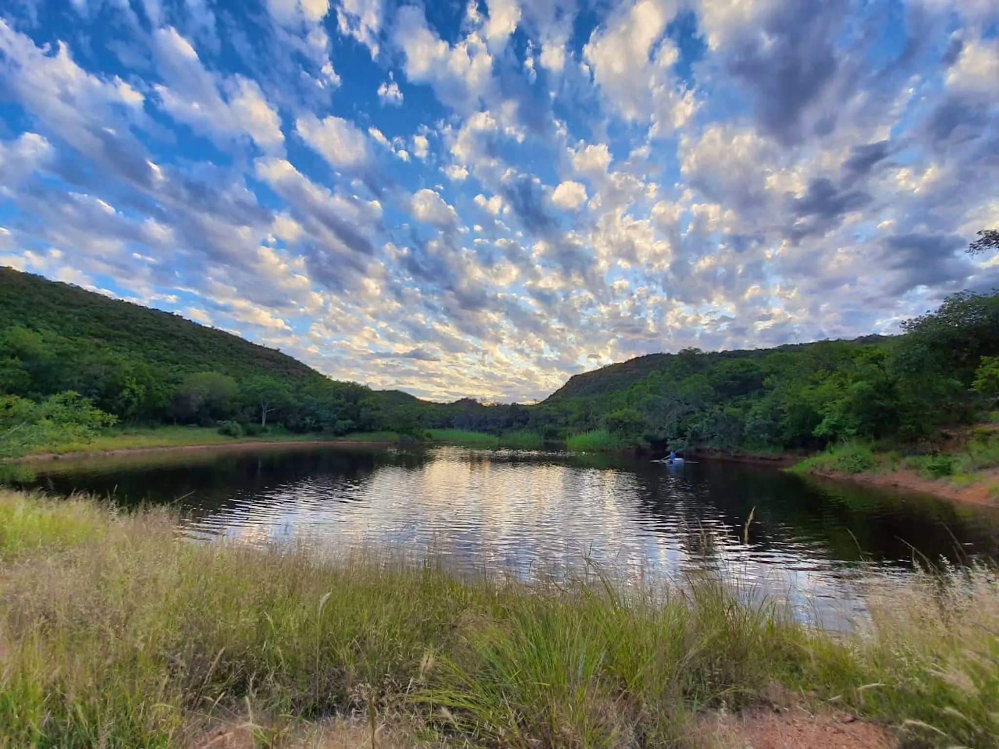 Buffelskloof Boskamp (11)