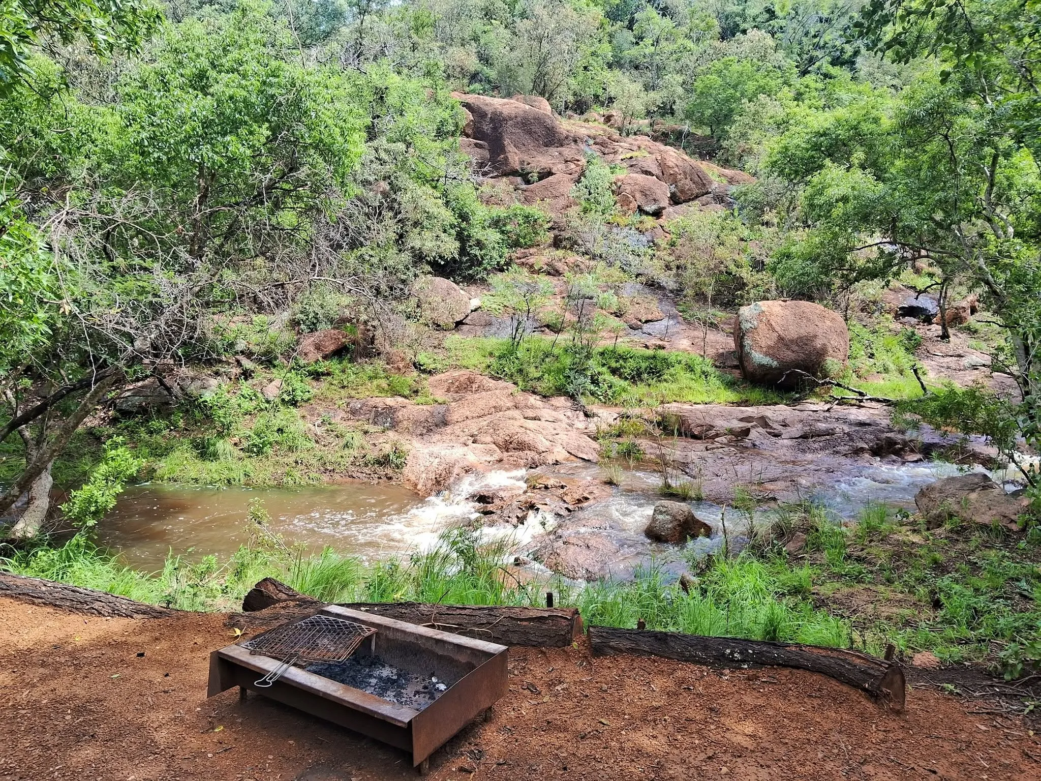 Buffelskloof Boskamp (7)