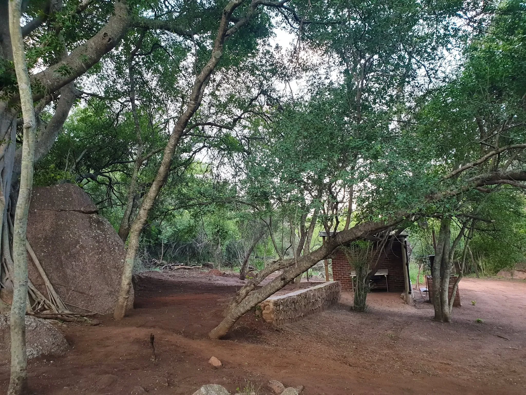 Buffelskloof Boskamp (8)